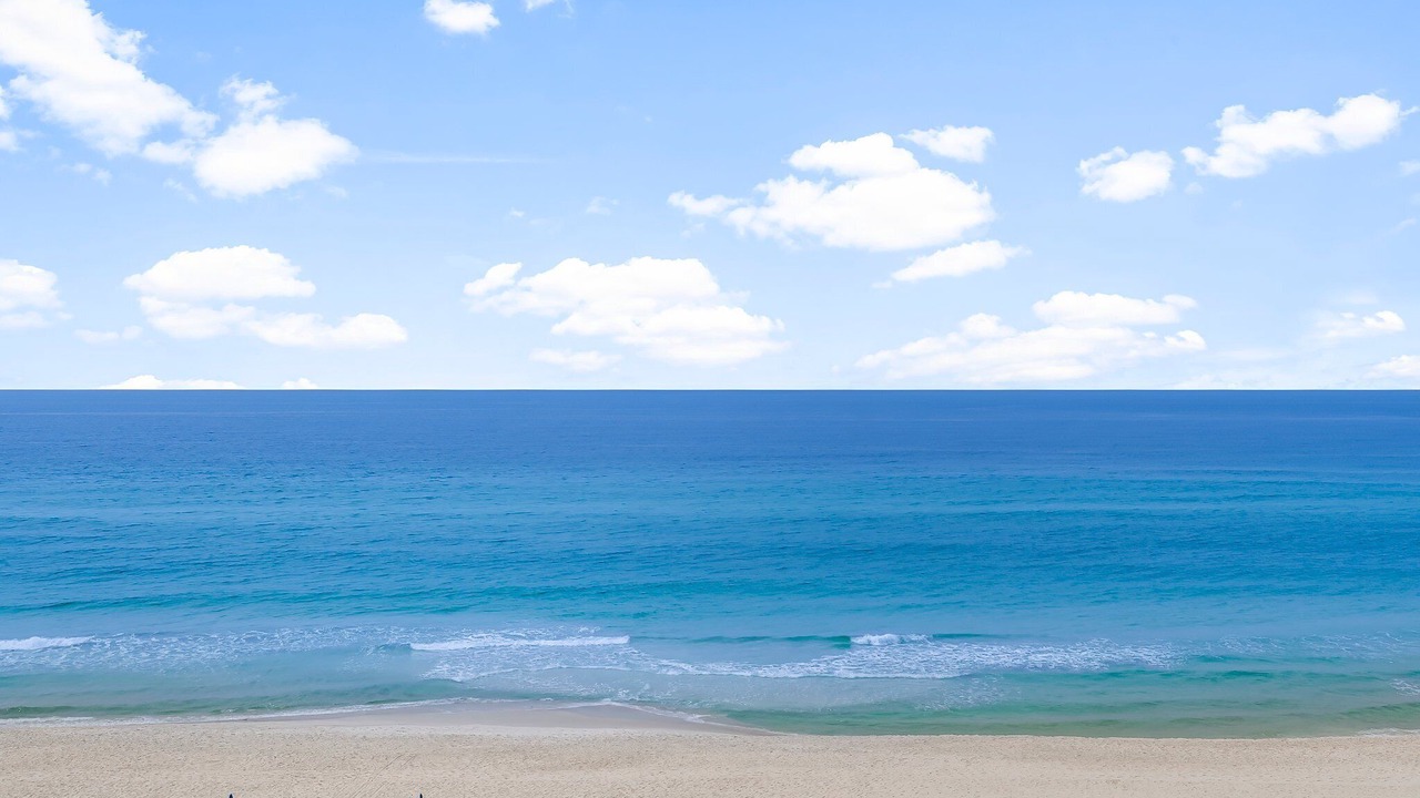 Photo of Others in El Centro Beach