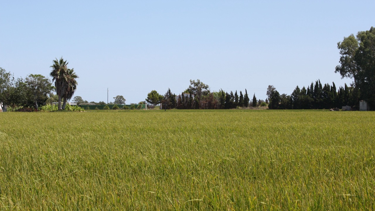 Photo of Others in Sant Jaume d'Enveja