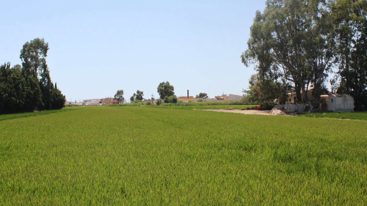 Photo of Others in Sant Jaume d'Enveja