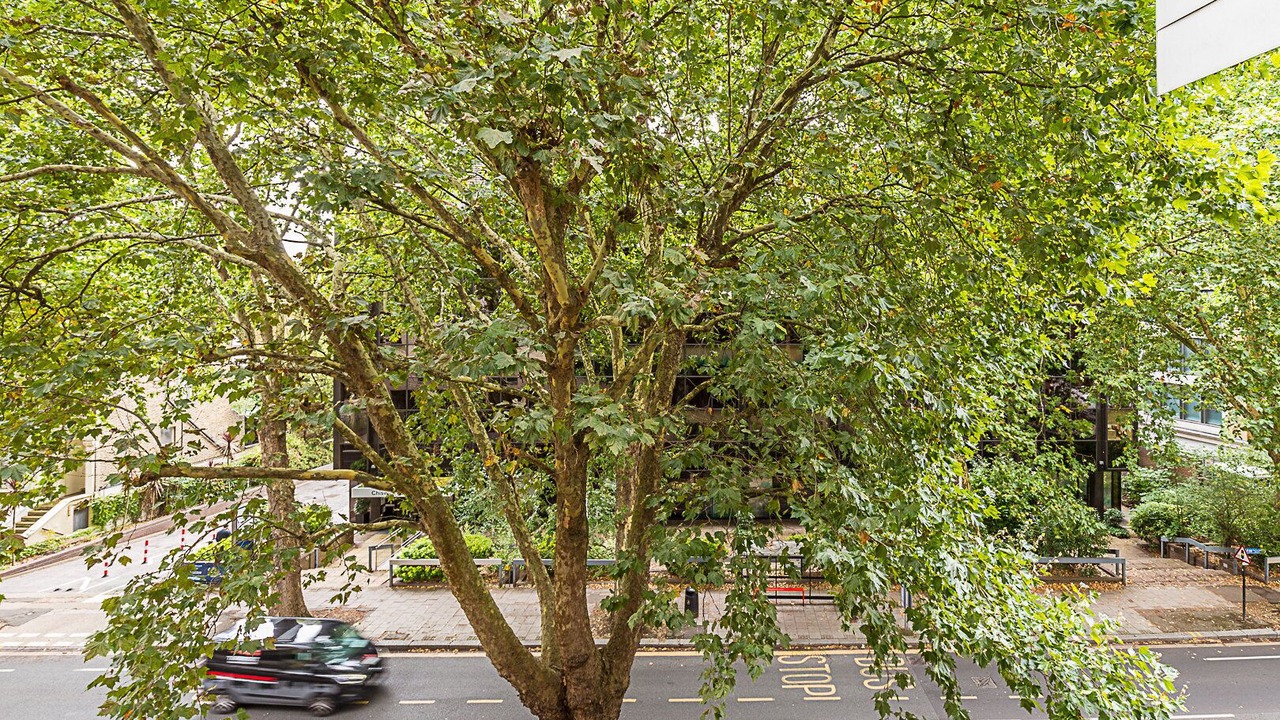 Photo of Outdoor in Turnham Green