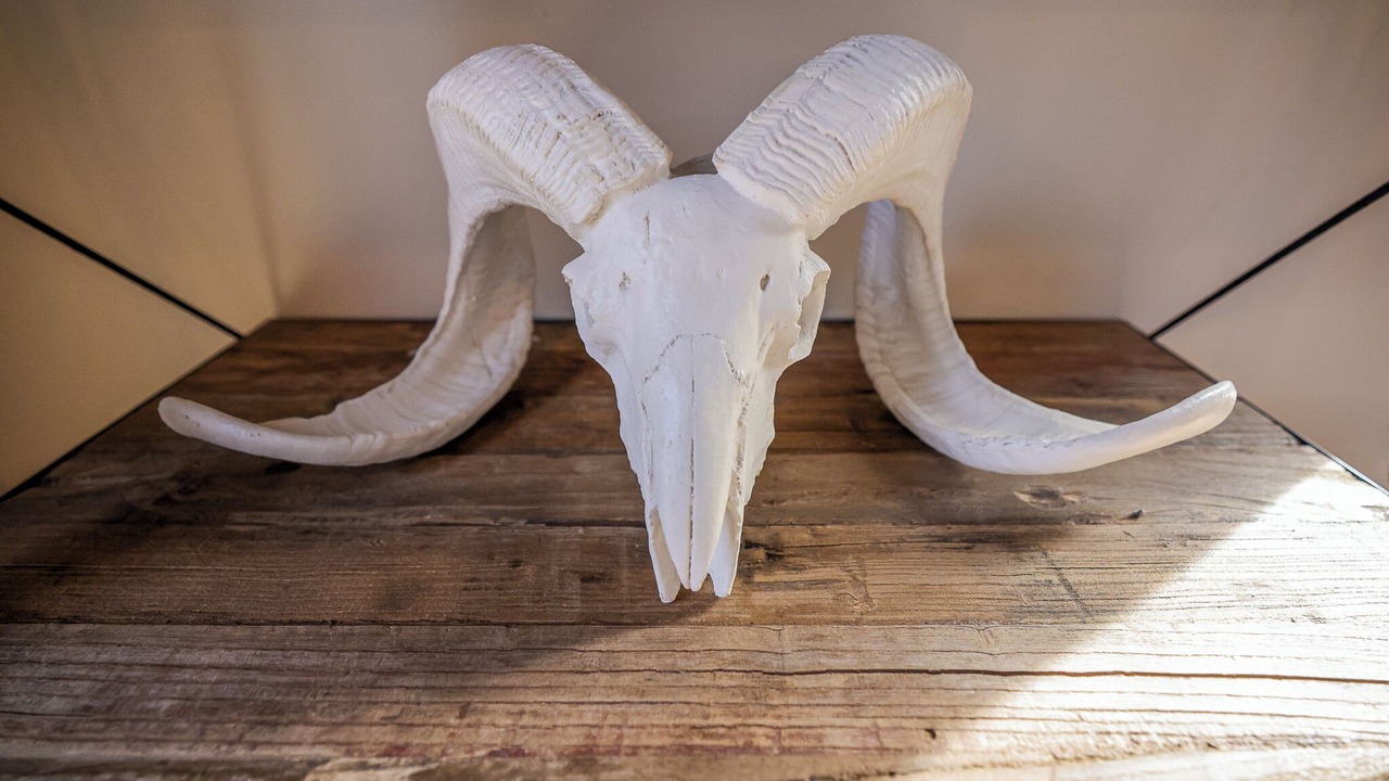 Photo of Others in East Stroudsburg