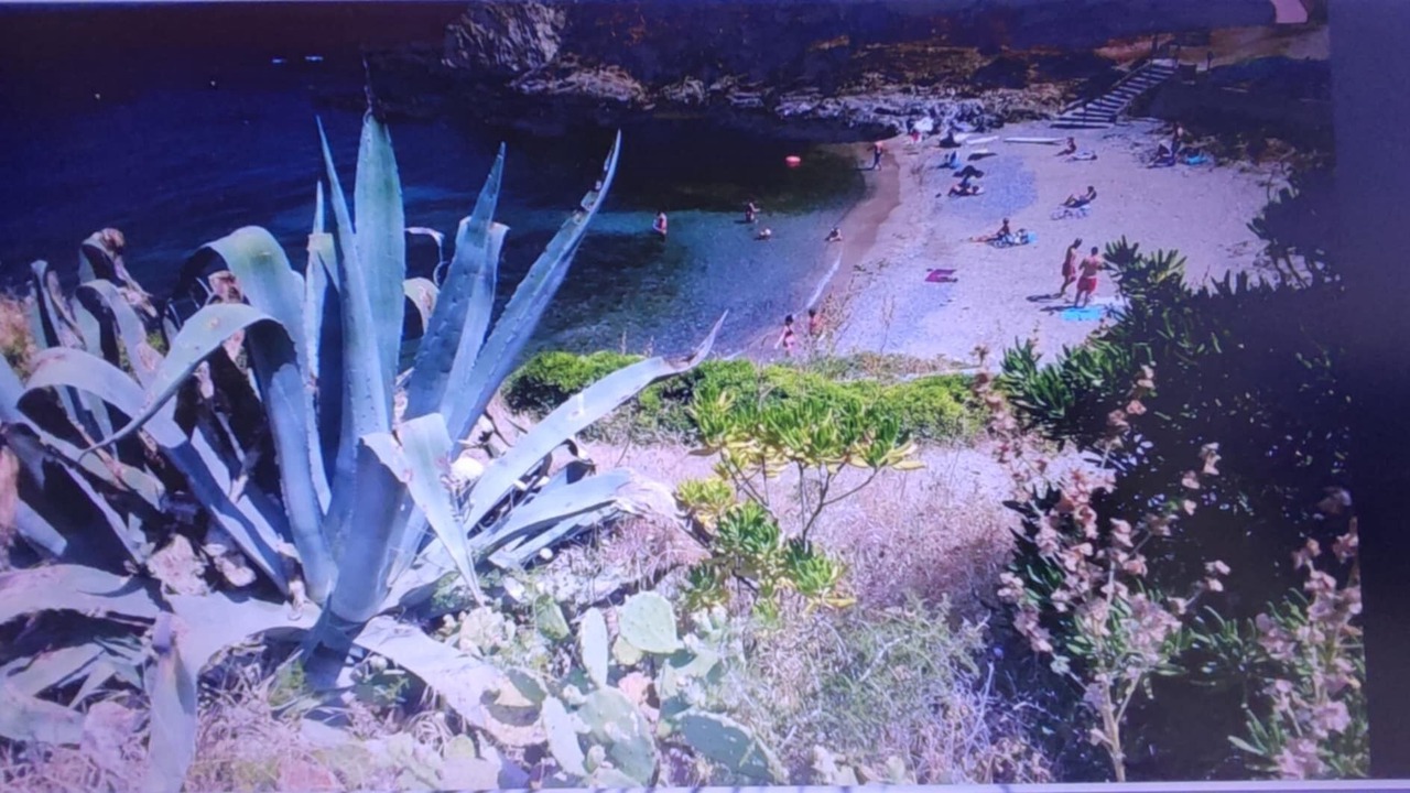 Photo of Others in Sant-Vicens