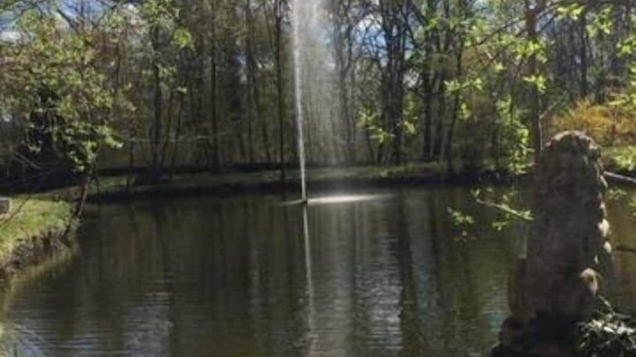 Photo of Others in Saint-Just-de-Claix