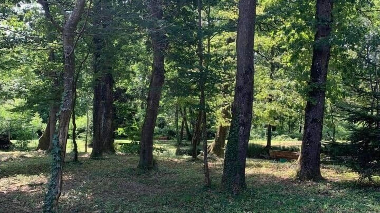 Photo of Others in Saint-Just-de-Claix