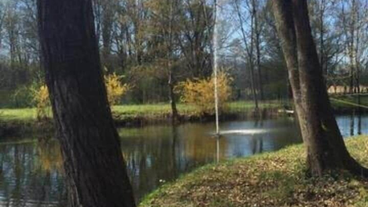 Photo of Others in Saint-Just-de-Claix