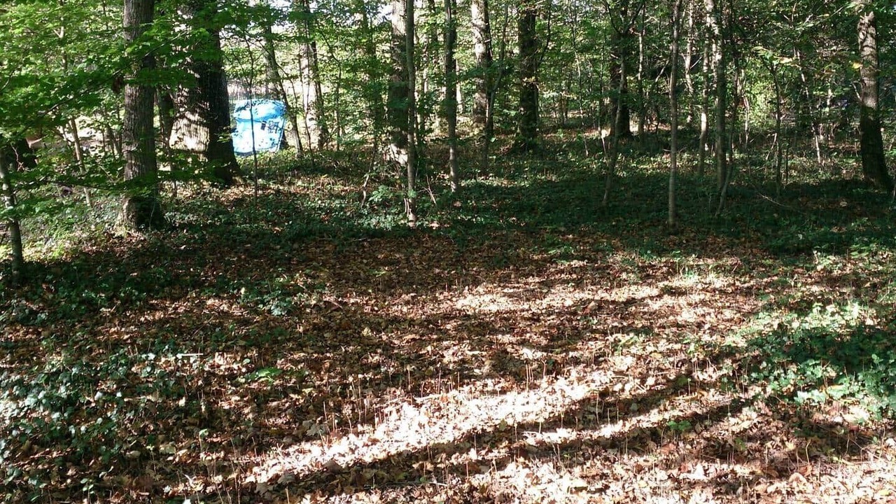 Photo of Outdoor in Saint-Just-de-Claix