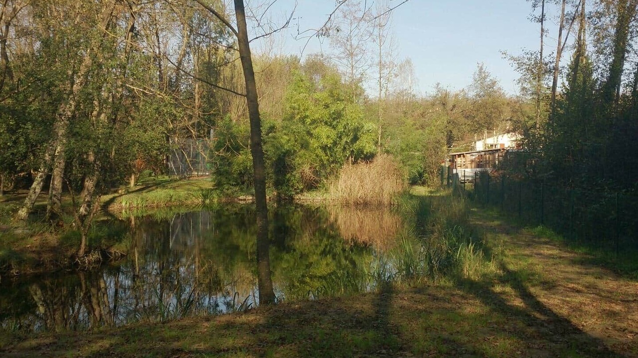 Photo of Others in Saint-Just-de-Claix