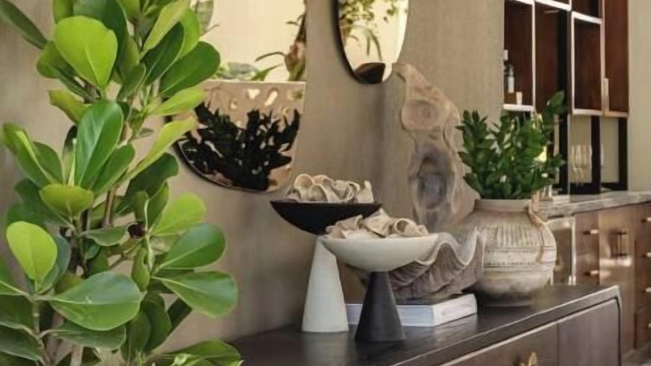 Photo of Others in Bani