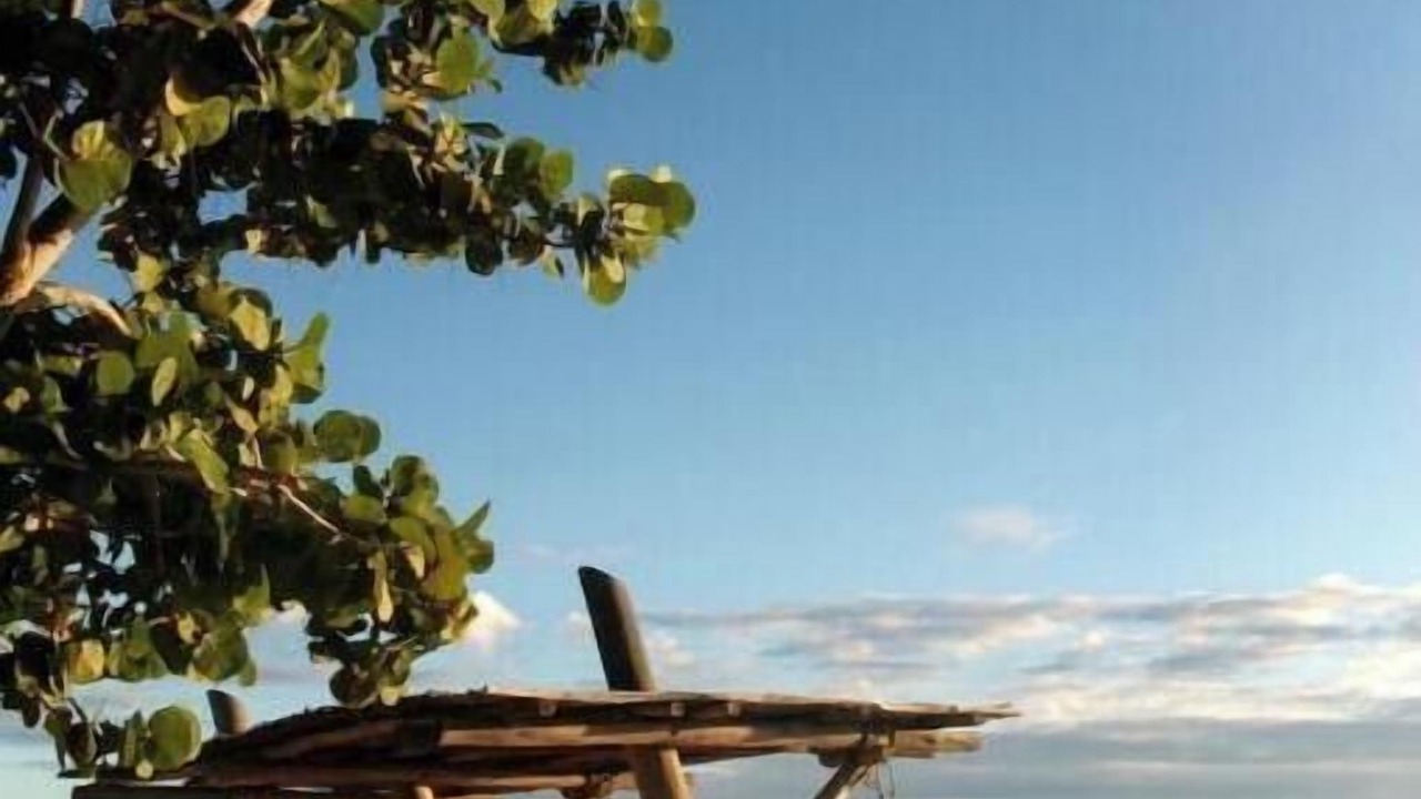 Photo of Others in Bani