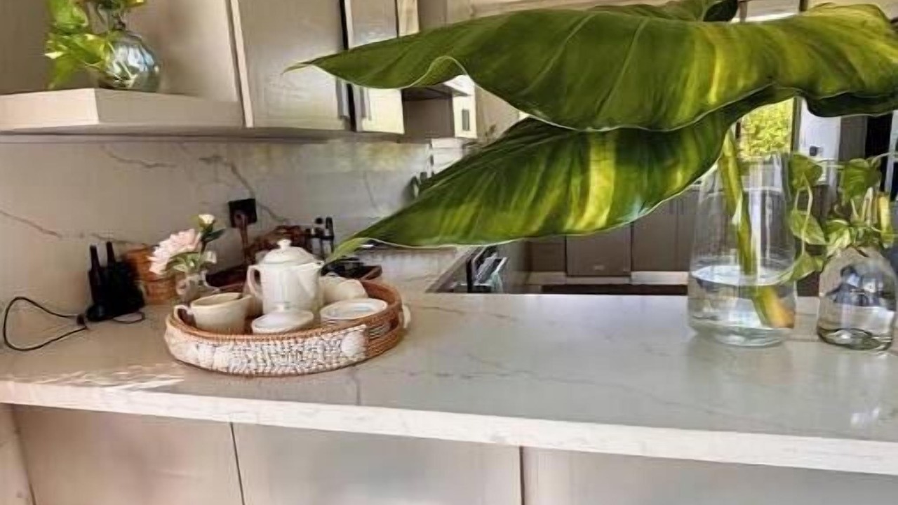 Photo of Kitchen in Bani