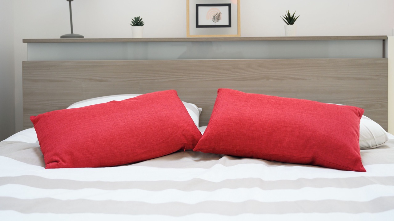 Photo of Bedroom in Langeais