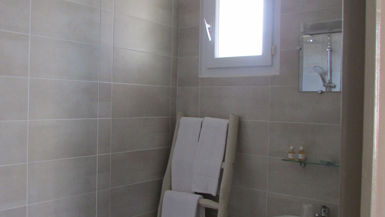 Photo of Bathroom in Saint-Victor-de-Malcap