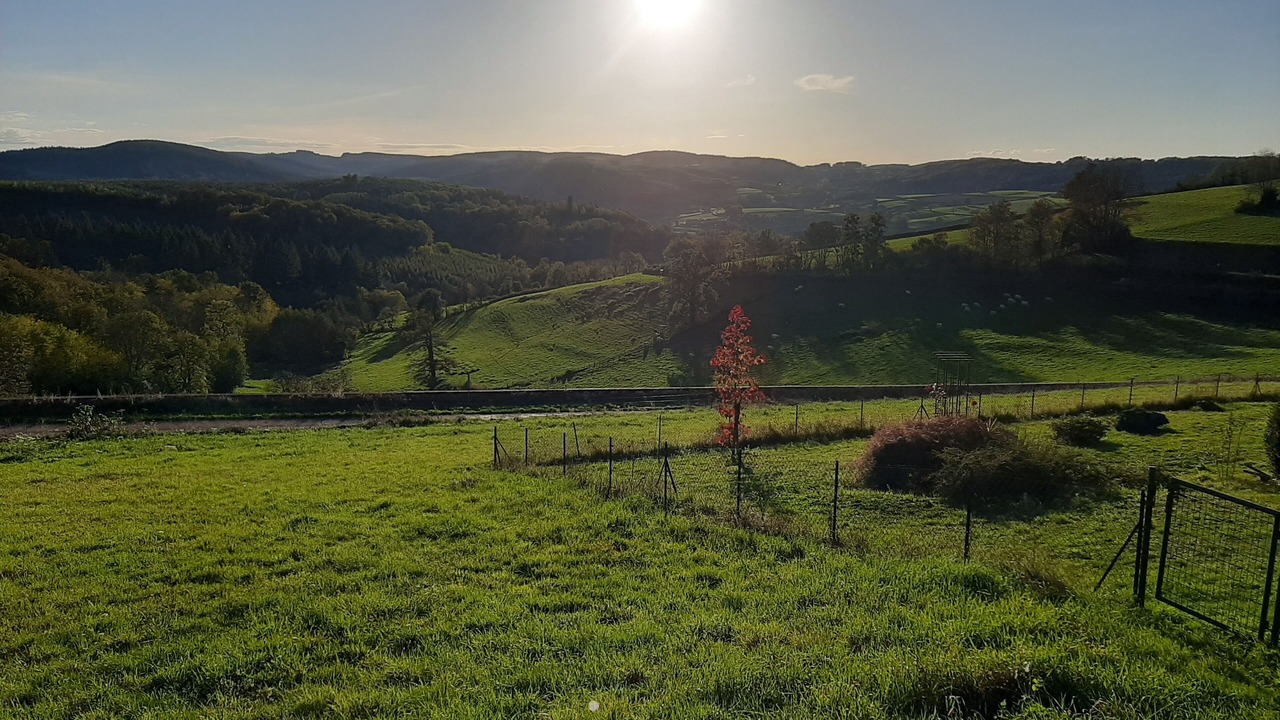 Photo of Others in Marigny l'Eglise