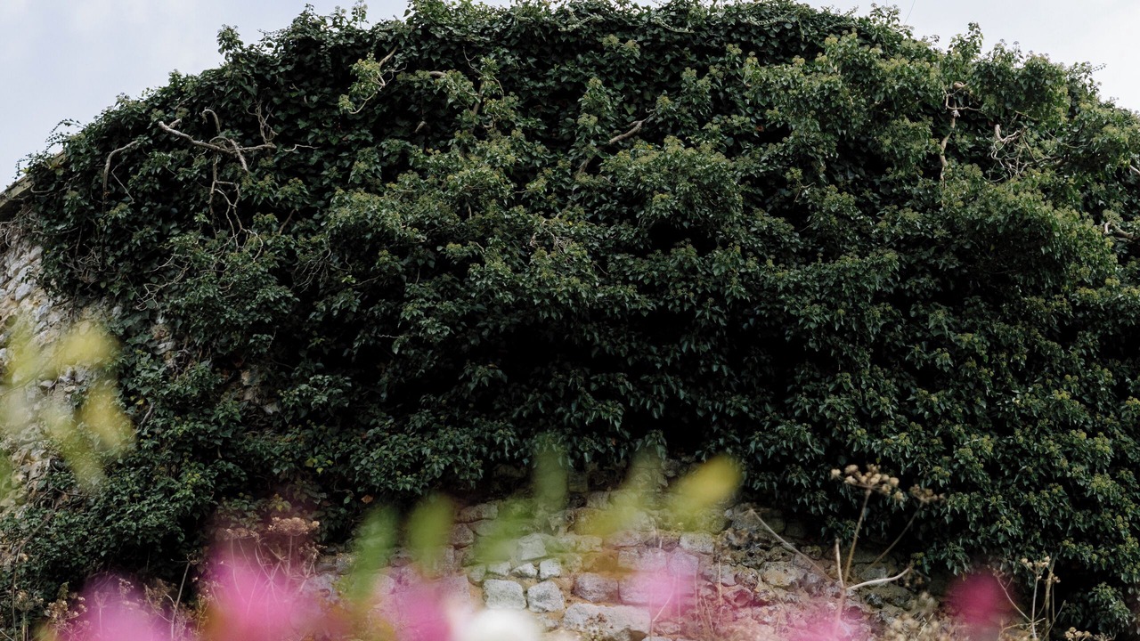 Photo of Outdoor in Le Mesnil-Jourdain