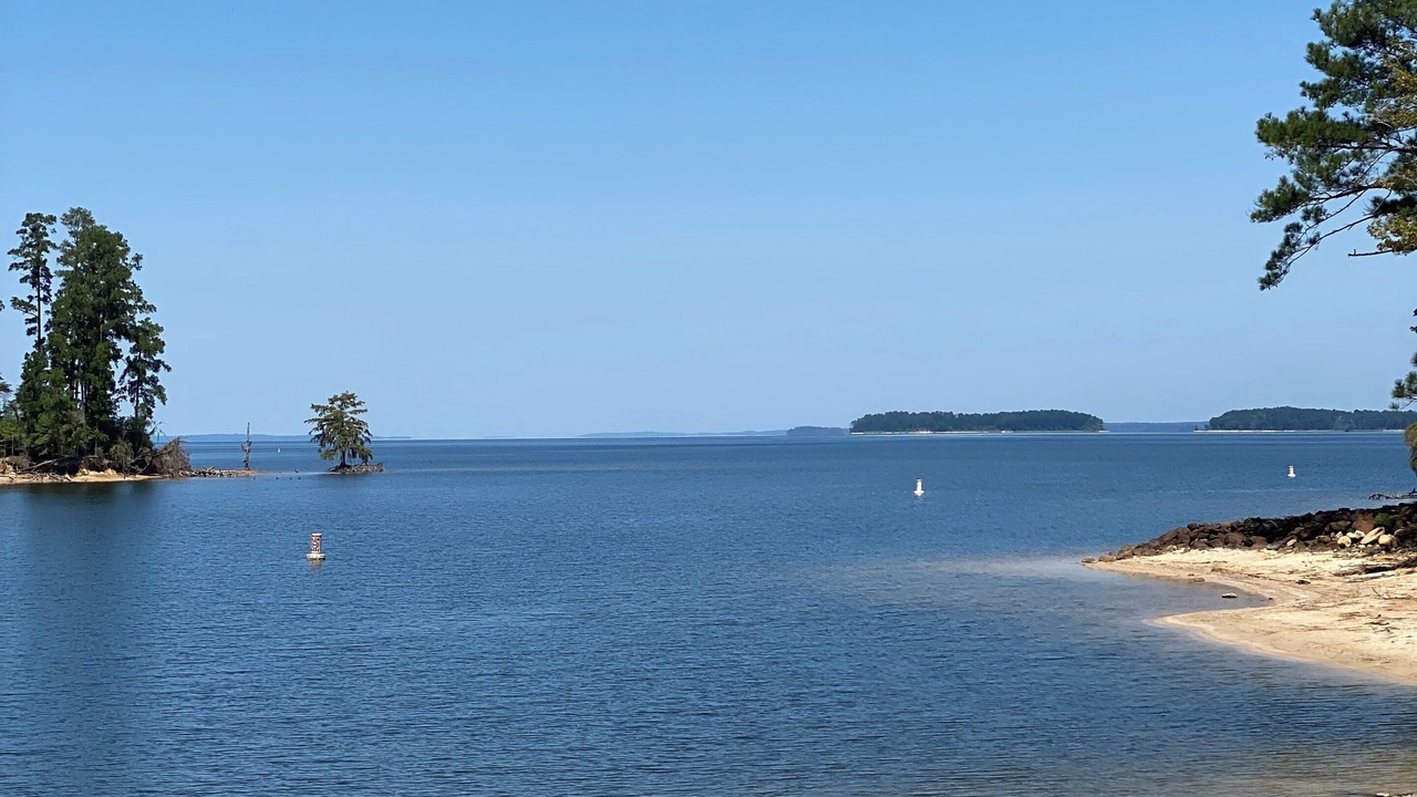 Photo of Others in South Toledo Bend