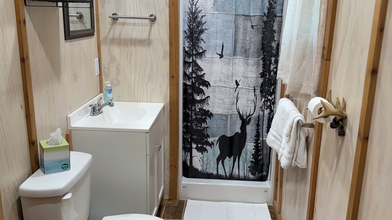Photo of Bathroom in South Toledo Bend