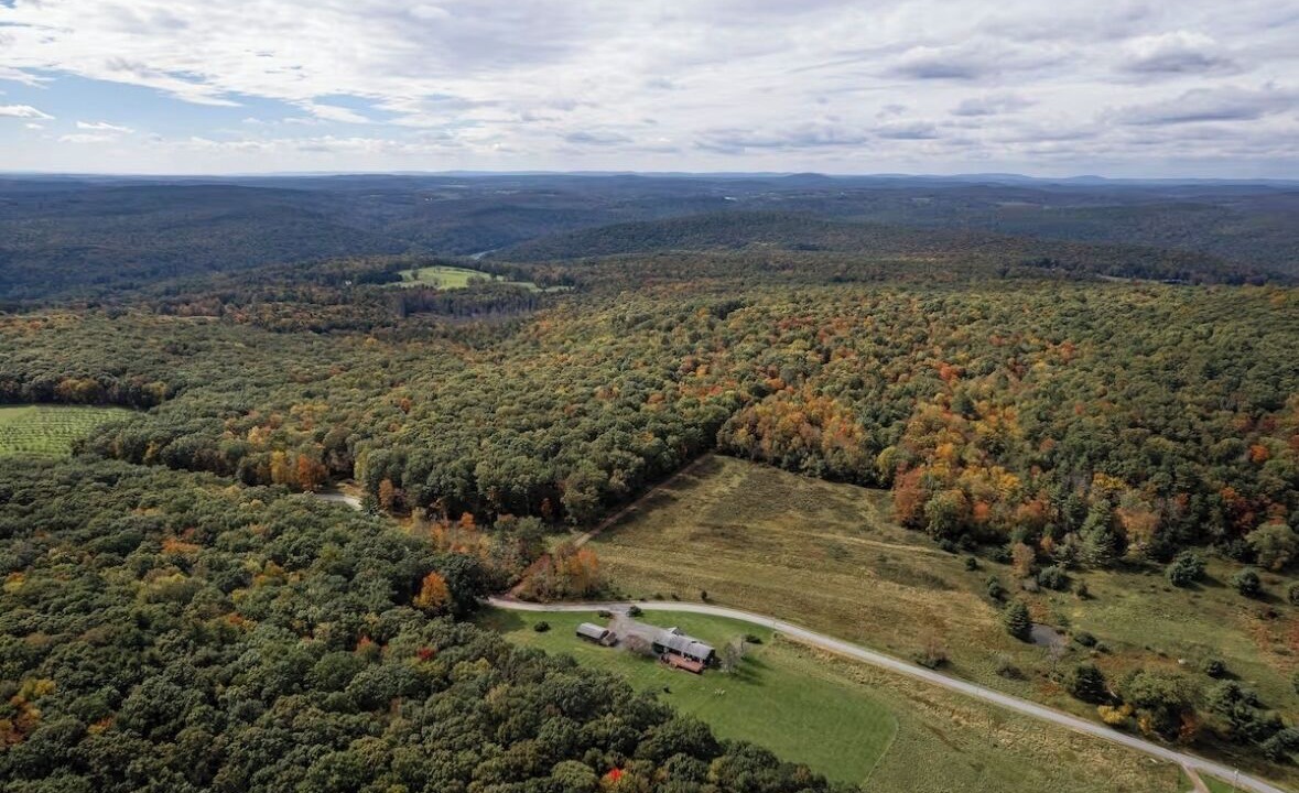 Photo of Outdoor in Callicoon