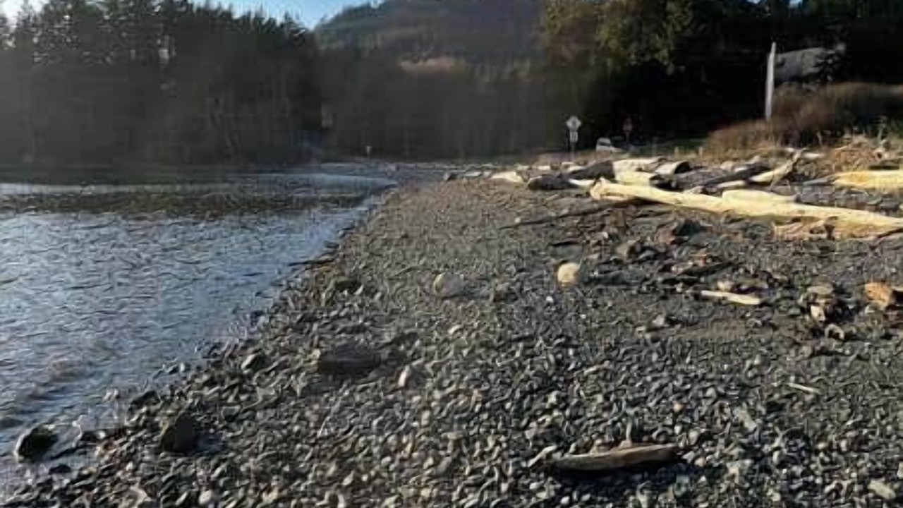 Photo of Others in Olga