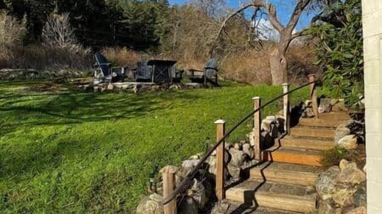 Photo of Others in Olga