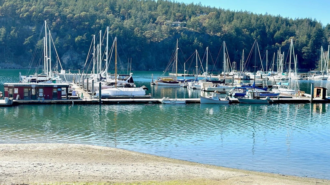 Photo of Others in Deer Harbor