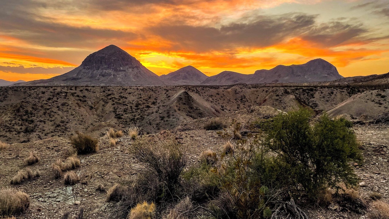 Photo of Others in Study Butte-Terlingua