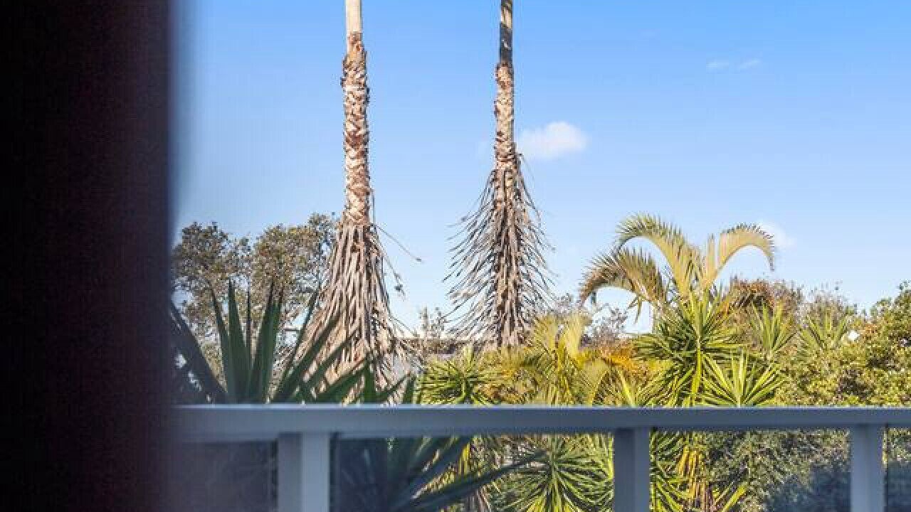 Photo of Others in Wamberal