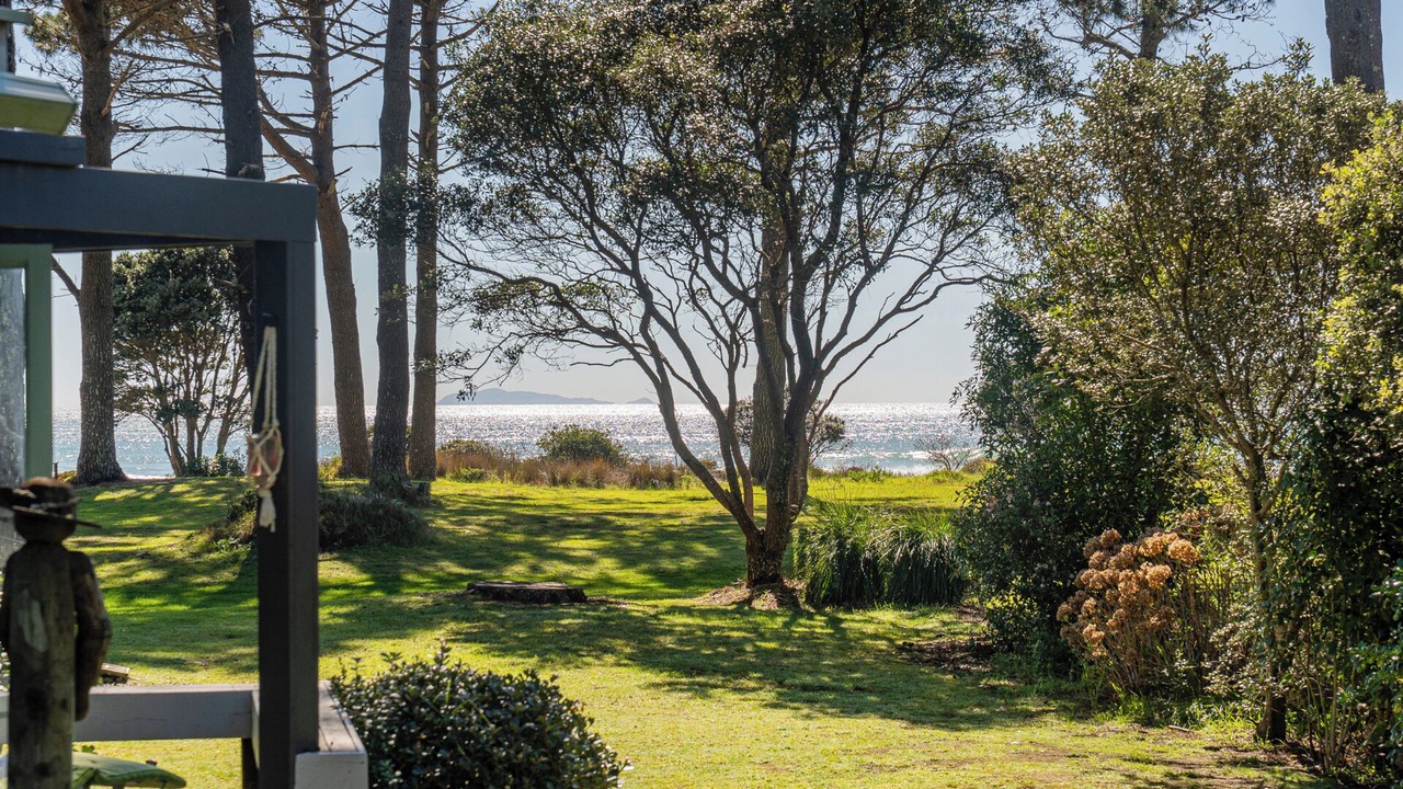 Photo of Outdoor in Matarangi