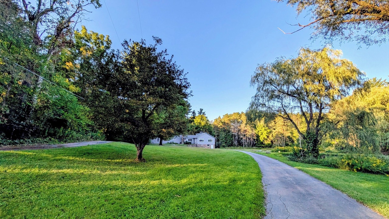 Photo of Outdoor in Springwater