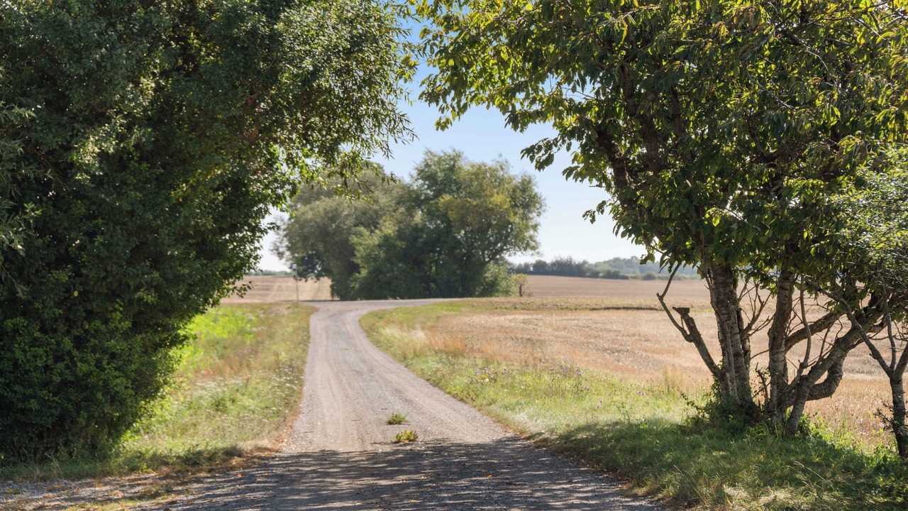 Photo of Others in Kettinge