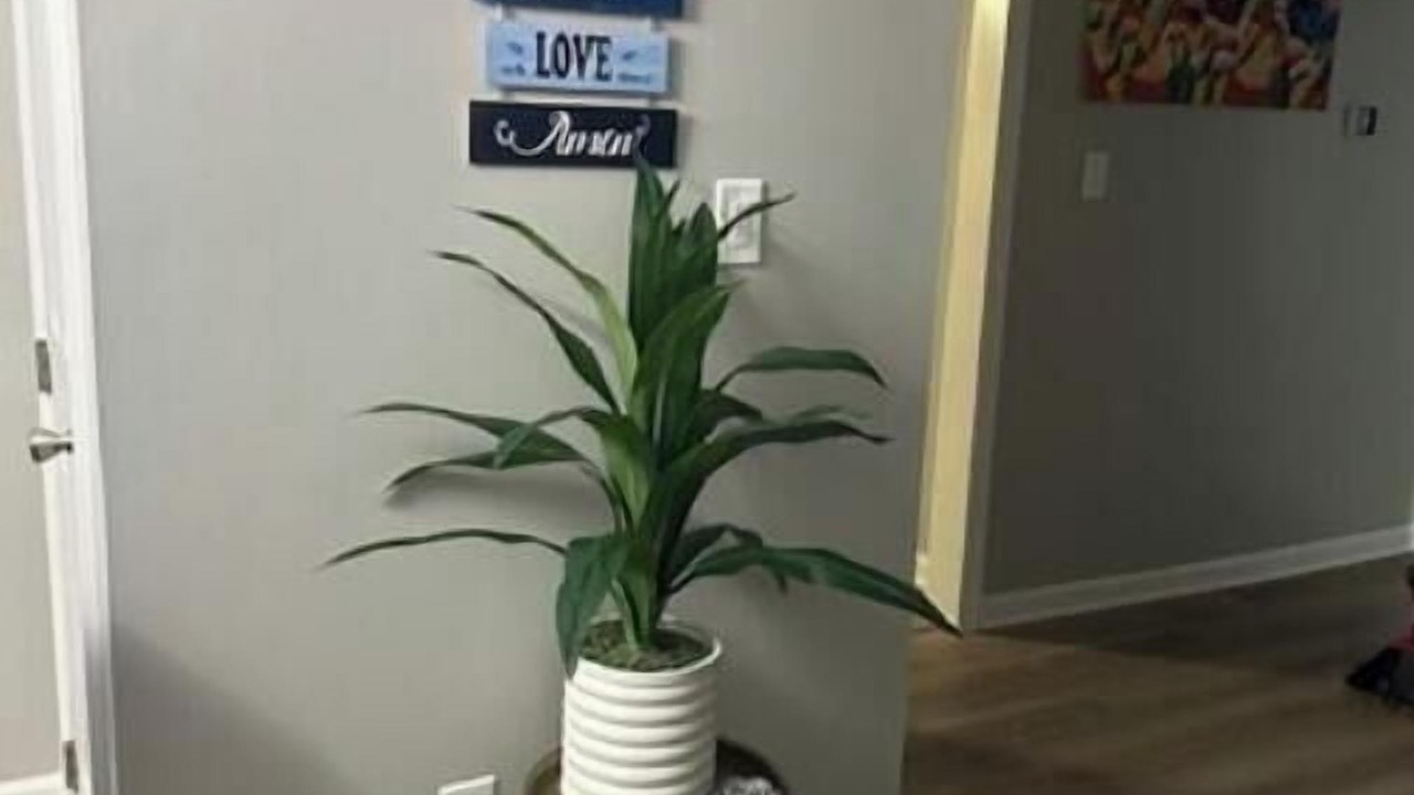 Photo of Others in Painter