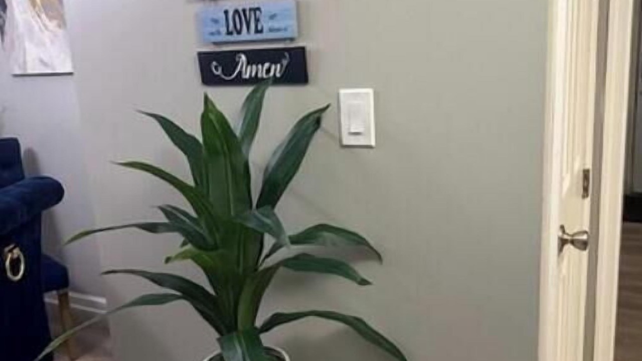 Photo of Others in Painter