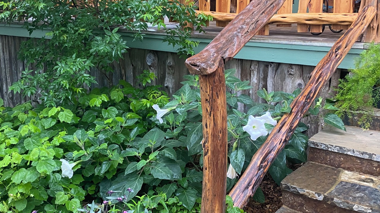 Photo of Outdoor in Driftwood