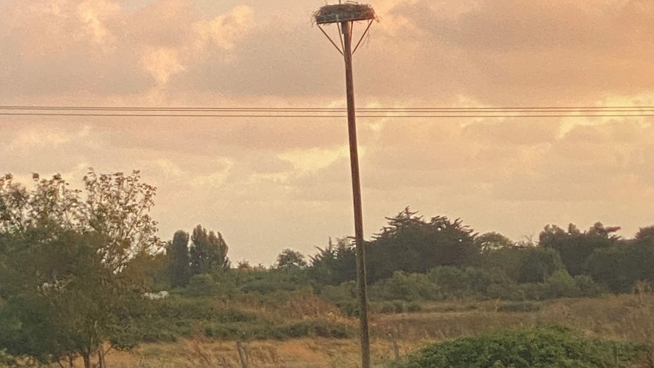 Photo of Others in Marennes