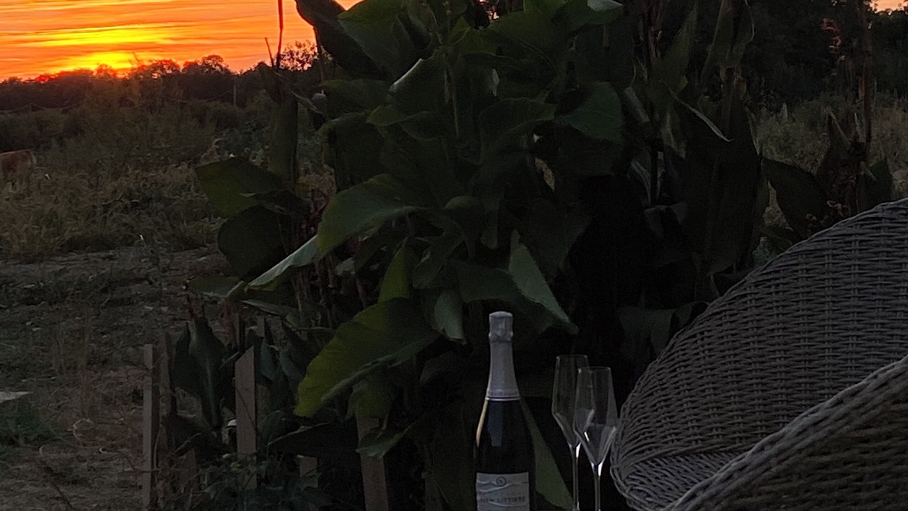Photo of Patio Balcony in Marennes