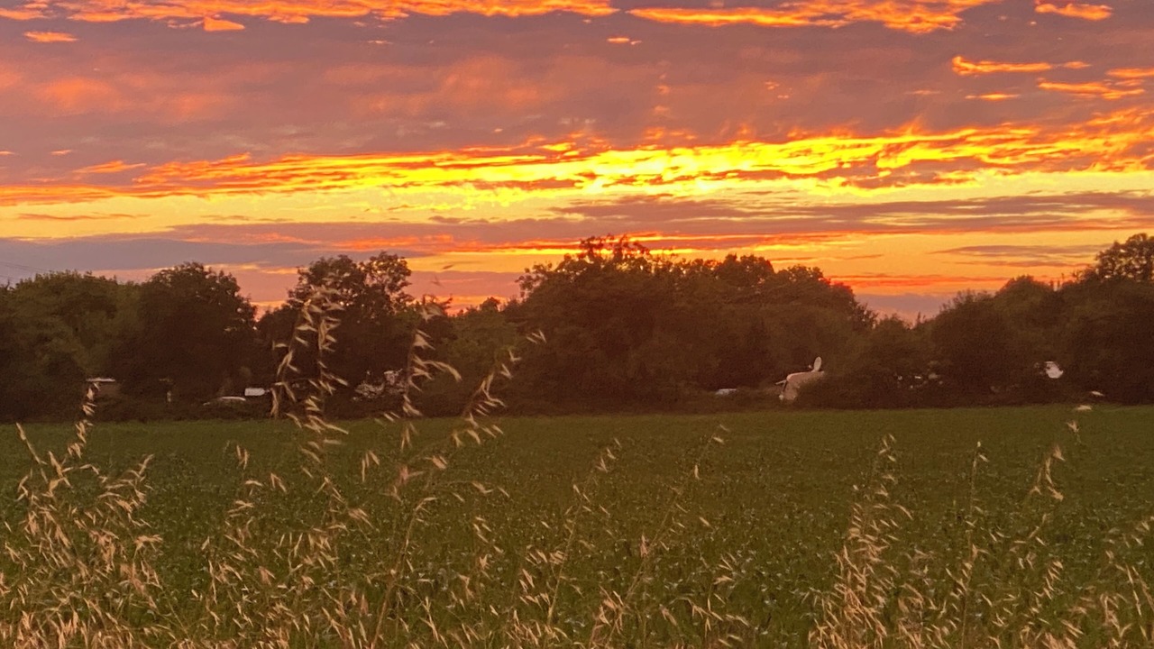 Photo of Others in Marennes