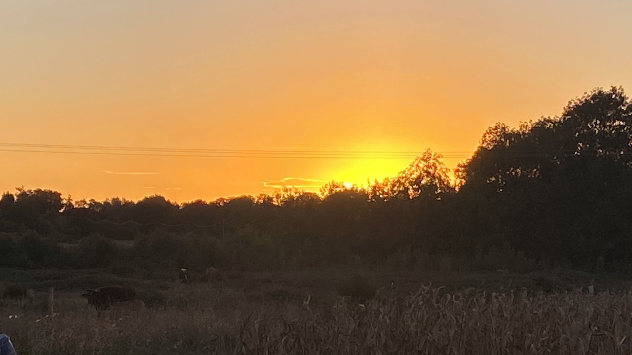 Photo of Others in Marennes