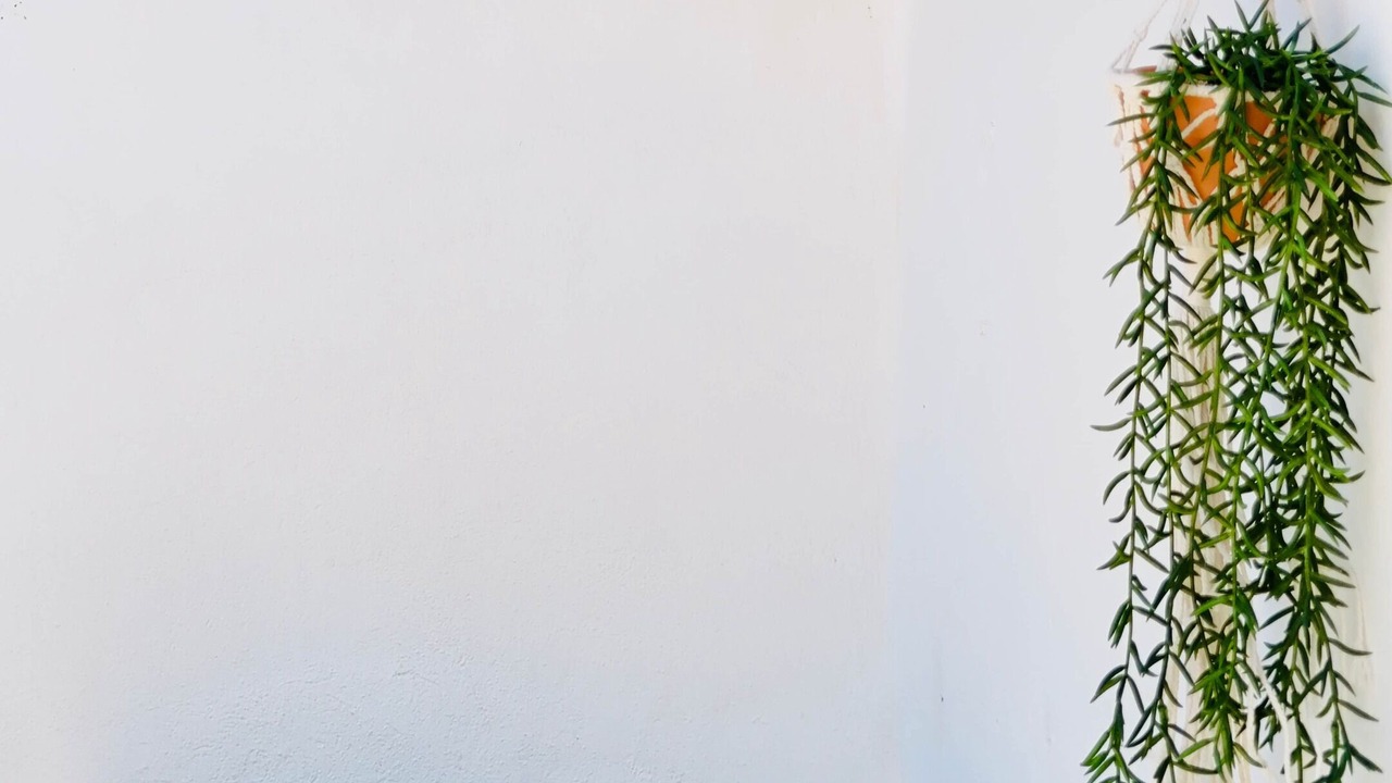 Photo of Outdoor in Brignoles