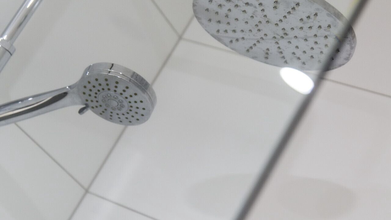 Photo of Others in Grey Lynn