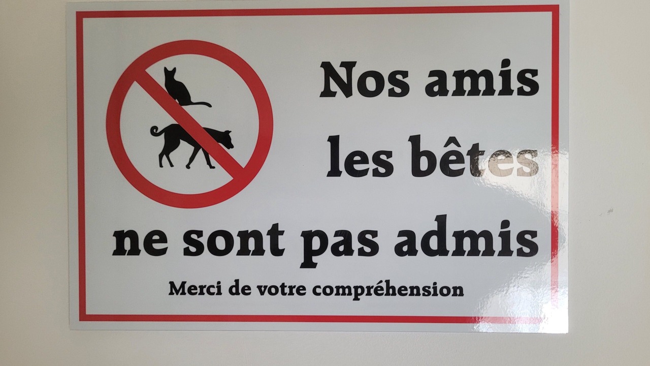 Photo of Others in Salles-d'Aude