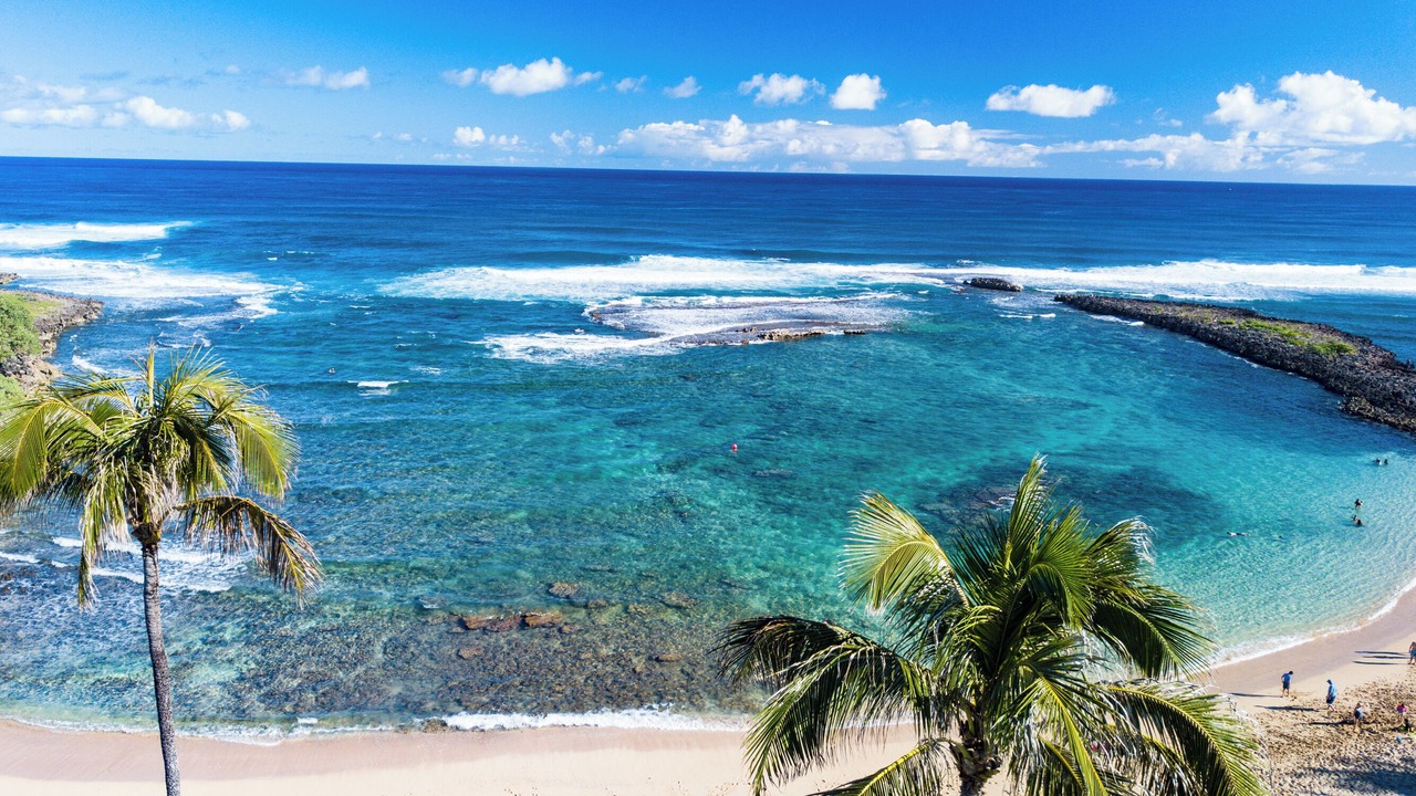 Photo of Others in Kahuku