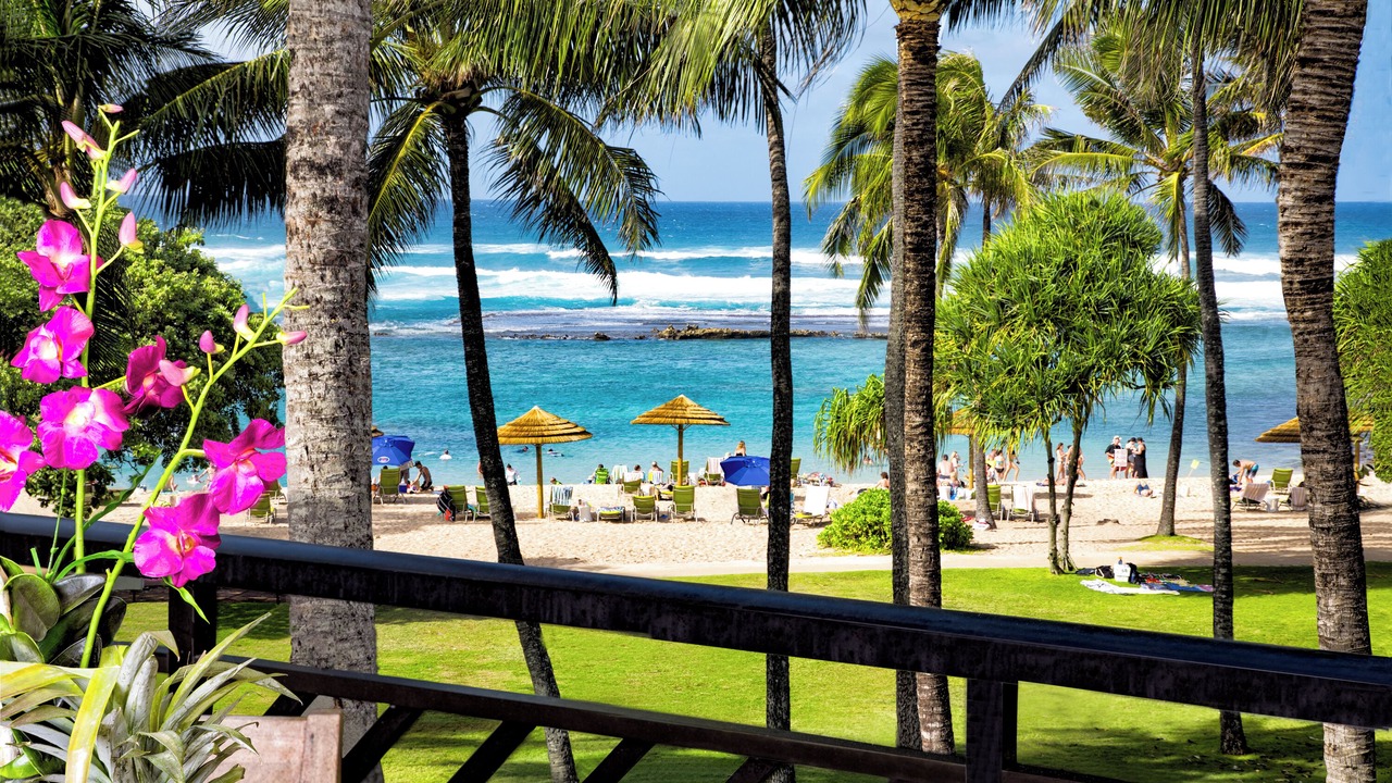 Photo of Outdoor in Kahuku