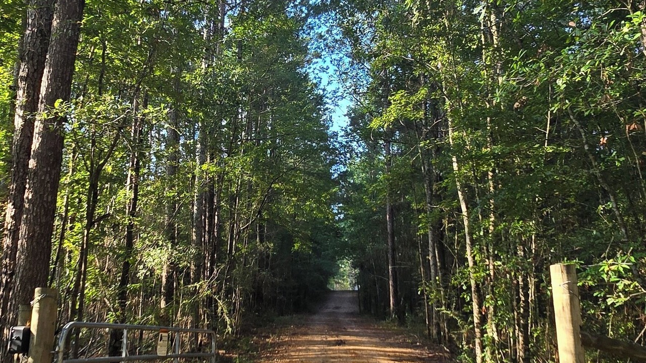 Photo of Others in Eastabuchie