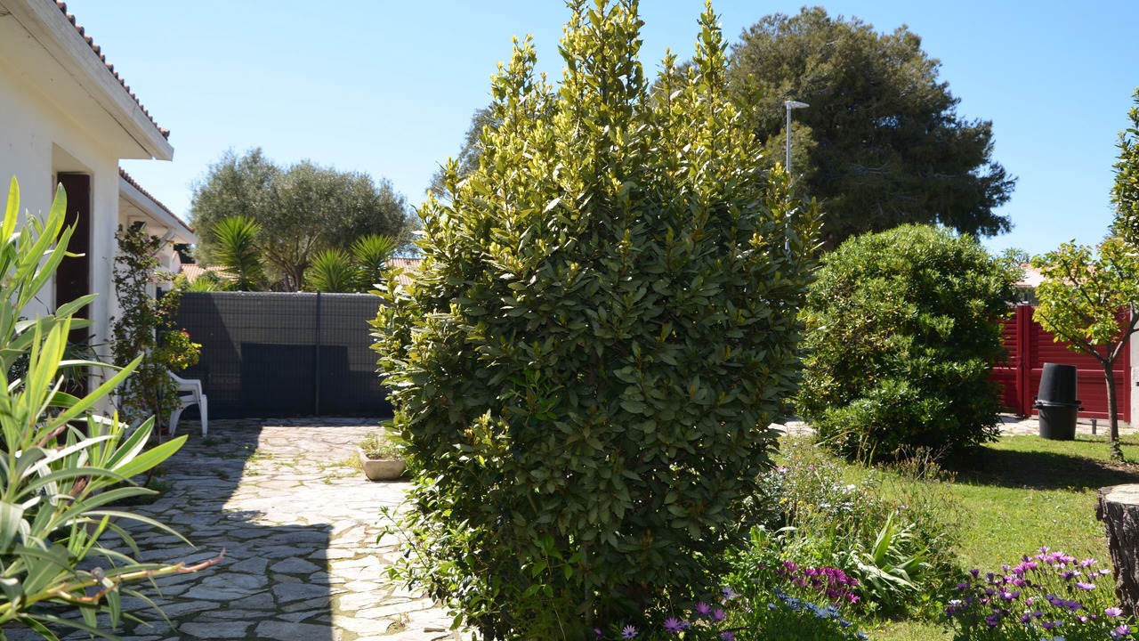Photo of Outdoor in La Peyrade