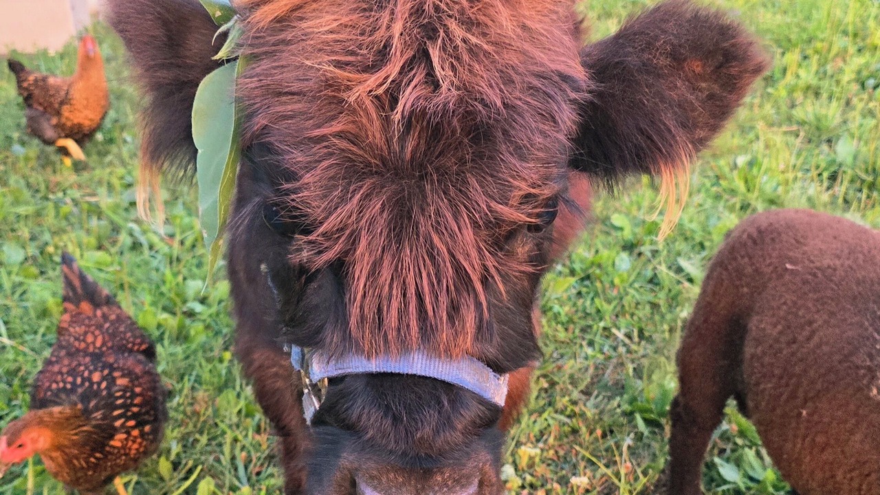 Photo of Others in Randolph County