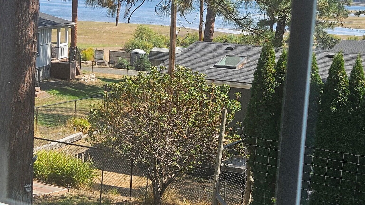 Photo of Others in Pine Hollow