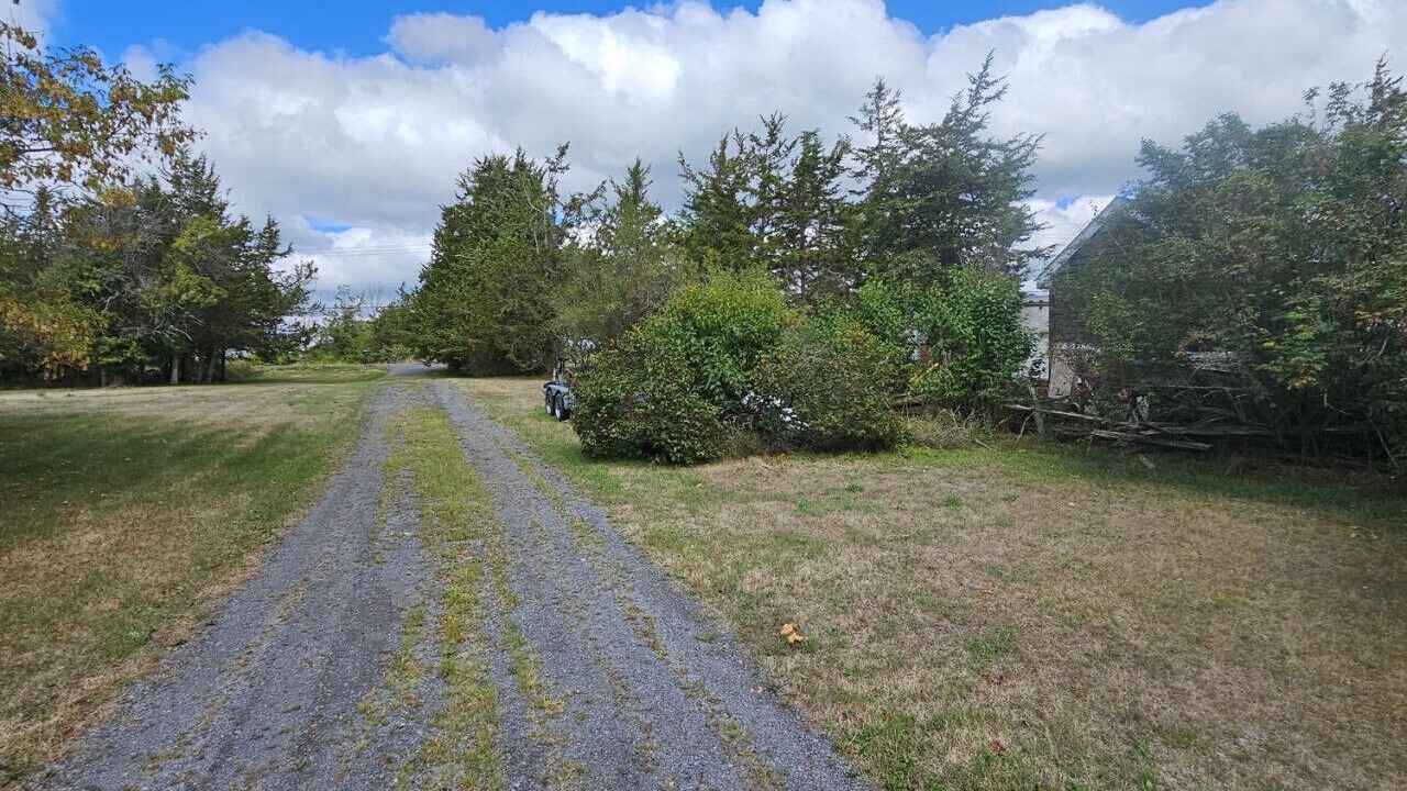 Photo of Others in Greater Napanee