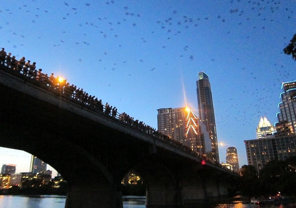 Photo of Outdoor in Greater South River City