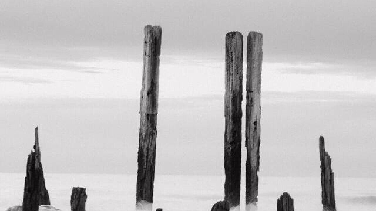 Photo of Others in Aldinga