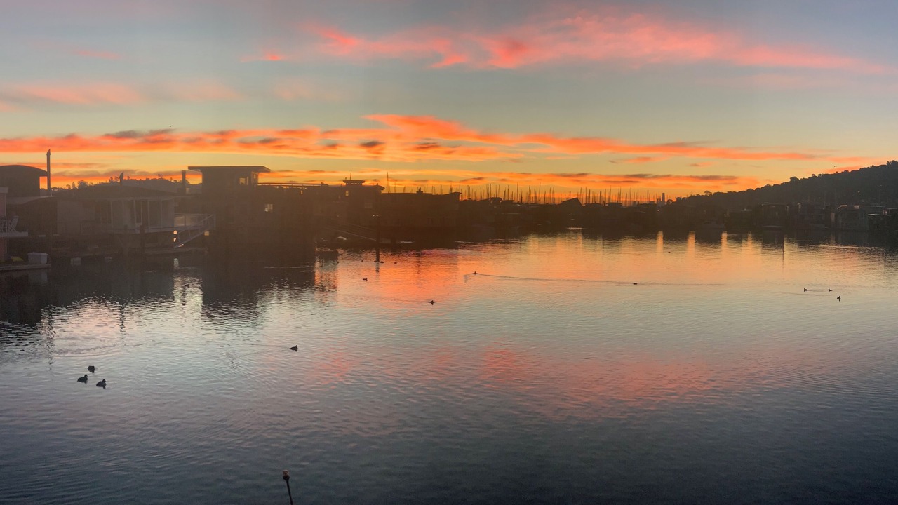 Photo of Others in Marin City