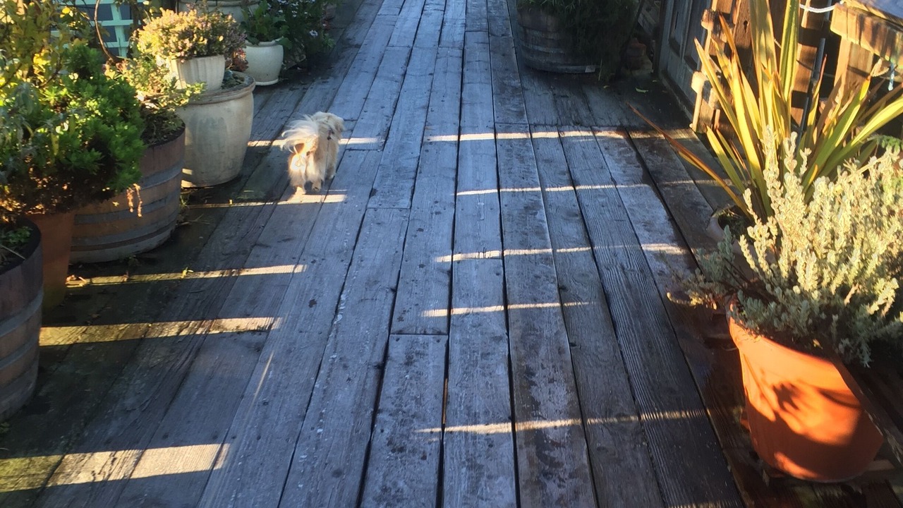 Photo of Outdoor in Marin City